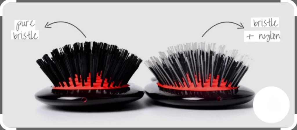 Boar Bristle vs Nylon Bristles