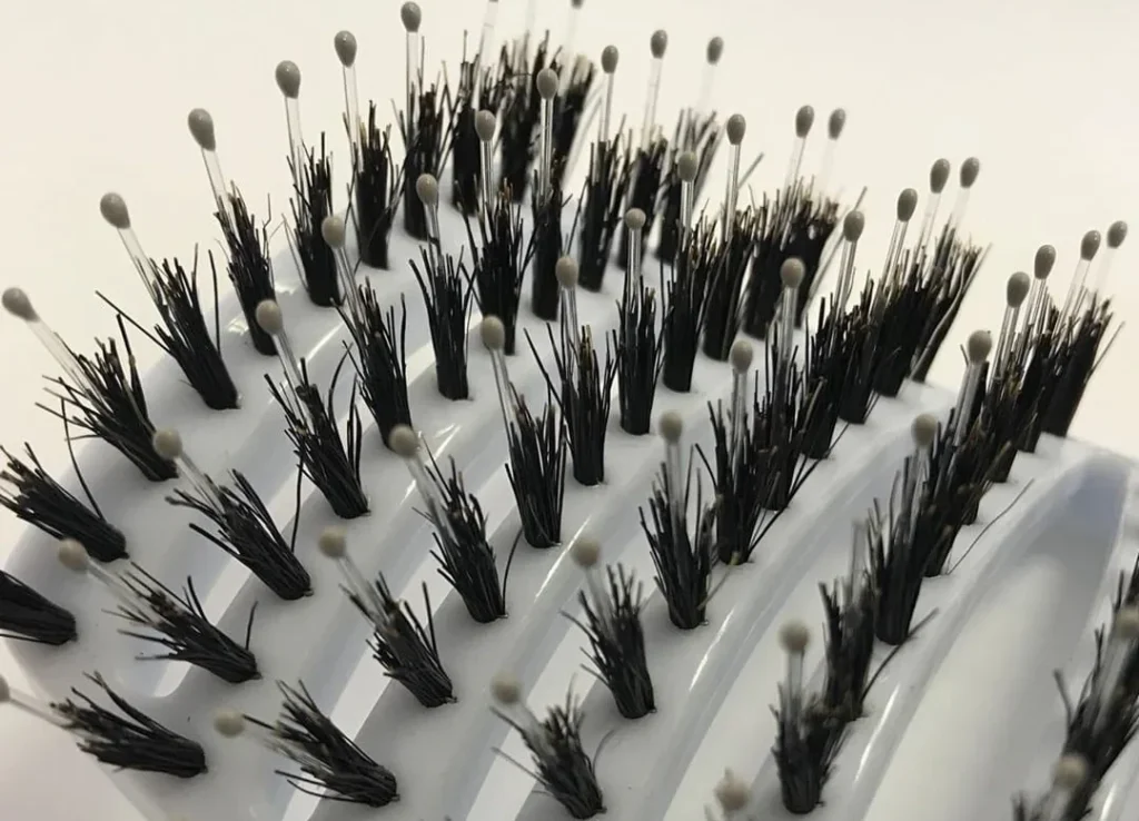 Boar Bristle vs Plastic Bristles