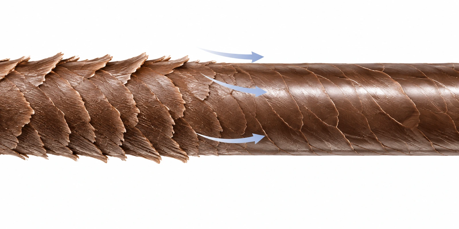 Diagram illustrating how a diluted vinegar rinse smooths the hair cuticle to improve shine